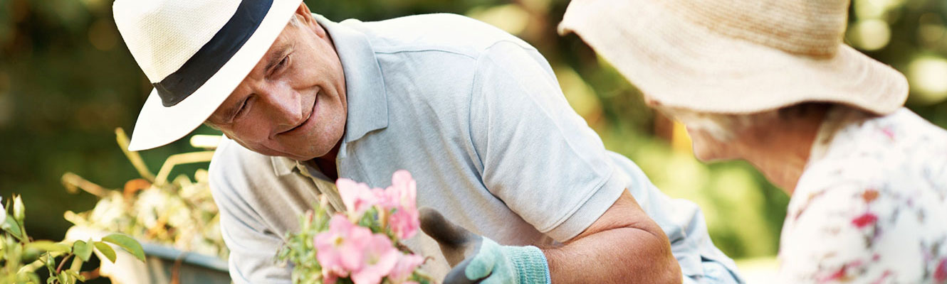 Senior couple gardening